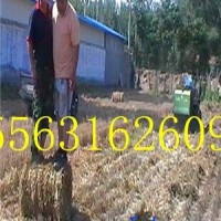 玉米秸秆打捆机  牵引秸秆打捆机  稻草秸秆打捆机  全新保丰机械