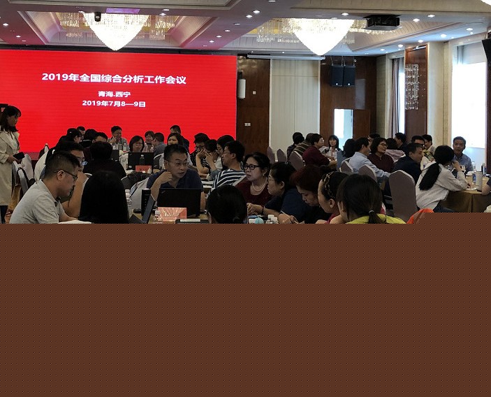 2019年全国综合分析工作会议召开