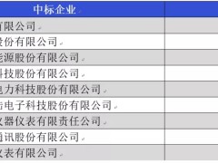 南网2019年度计量产品(电能表)第一次框架招标中标结果解析