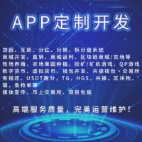 深圳龙岗区块链软件订制商城搭建资金盘APP区块狗有钱还开发