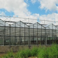 玻璃连栋温室建设/青州鑫艺农温室工程/玻璃连栋温室