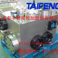山东泰丰液压厂家生产直销锻压机械液压油块