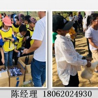 来不及了！武汉休闲游想玩儿的省事，跟着我来任你选择。