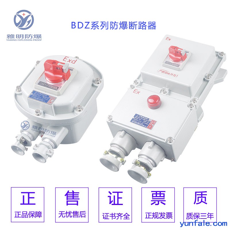 BDZ52-100A/3P/IP65WF1防爆断路器