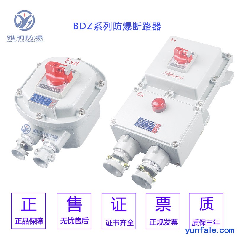 BDZ52-40A/3P防爆开关 40A380V防爆断路器