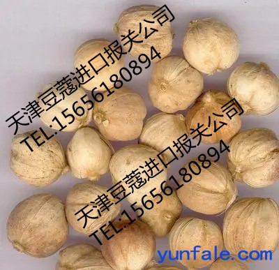 北京豆蔻清关代理
