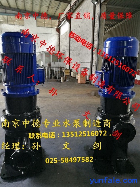 厂家直销南京中德WL立式排污泵，立式污水电泵，渣浆泵，杂质泵
