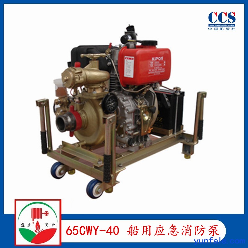 65CWY-40船用CWY系列柴油机应急消防泵带CCS
