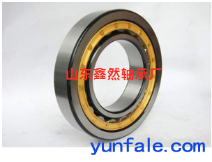 供应圆柱滚子轴承RN312规格60*113*31