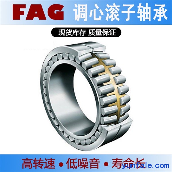 FAG圆柱滚子轴承NU2260EX-TB-M1-C3减速机用