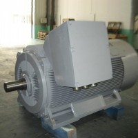 MD1C系列三相异步电动机大连电机厂