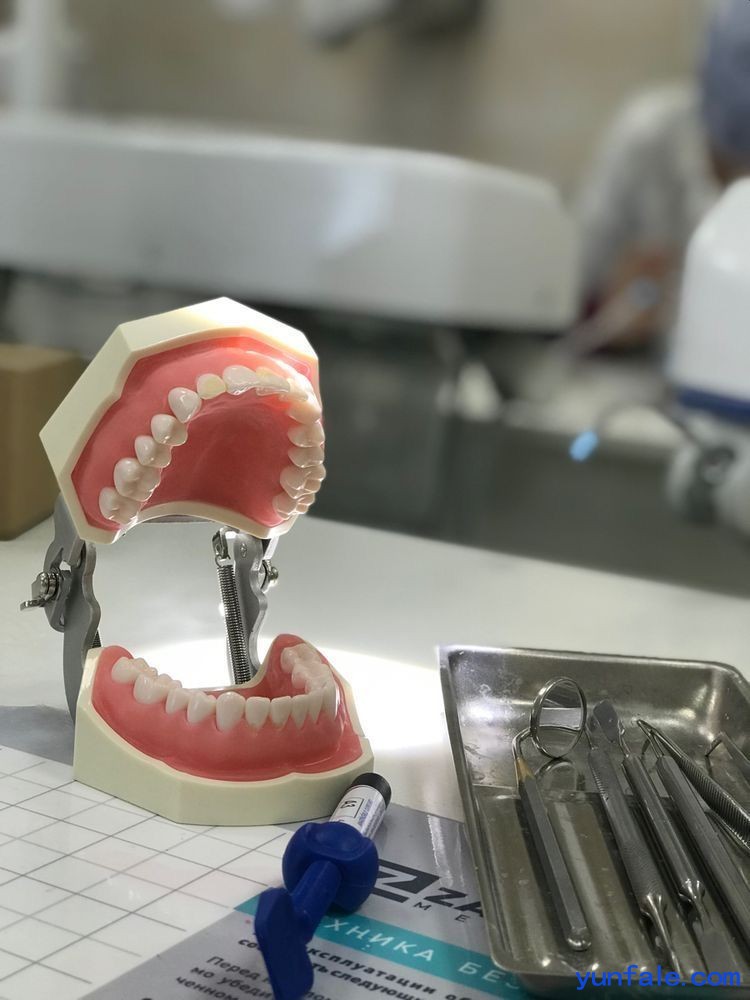 深圳假牙种植牙义齿加工厂家_OEM定制出口
