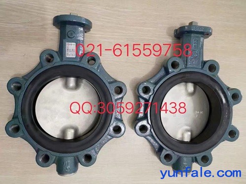 保证原装正品德国EBRO支耳式蝶阀Z014-A..